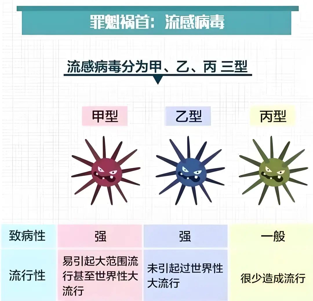 流感病毒最新动态