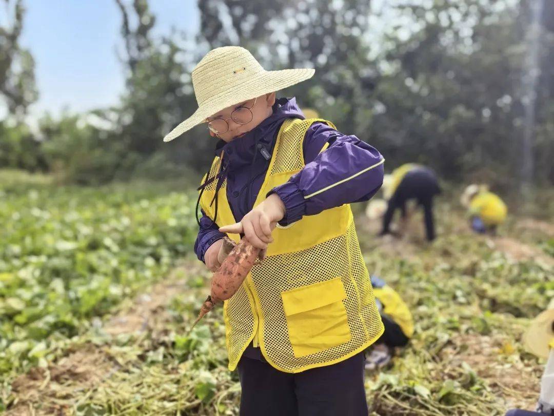 “全新升级正兴花生丰收神器，摘果便捷乐享丰收时光”