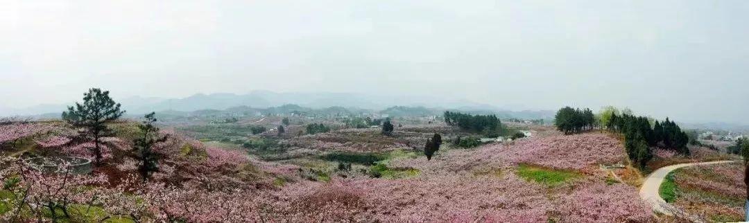 “喜讯连连！简阳河东环线建设新进展”