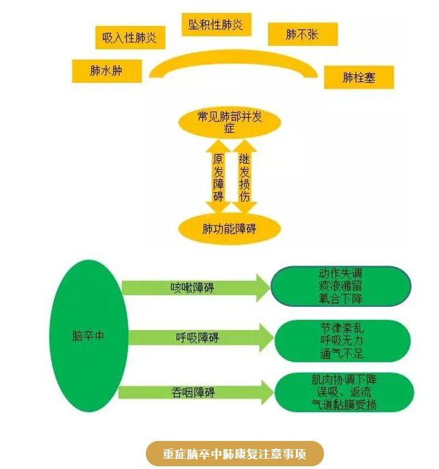 探索肺康复领域的全新视角：揭秘肺康复定义的最新演进