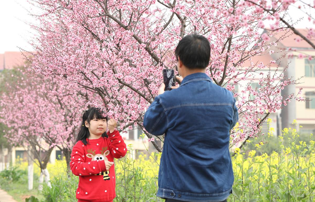 衡阳美美世界新鲜资讯速递：最新动向一览无遗